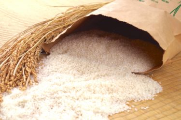 一人暮らしの米の保存方法！最適な保管場所や賢い節約術を紹介